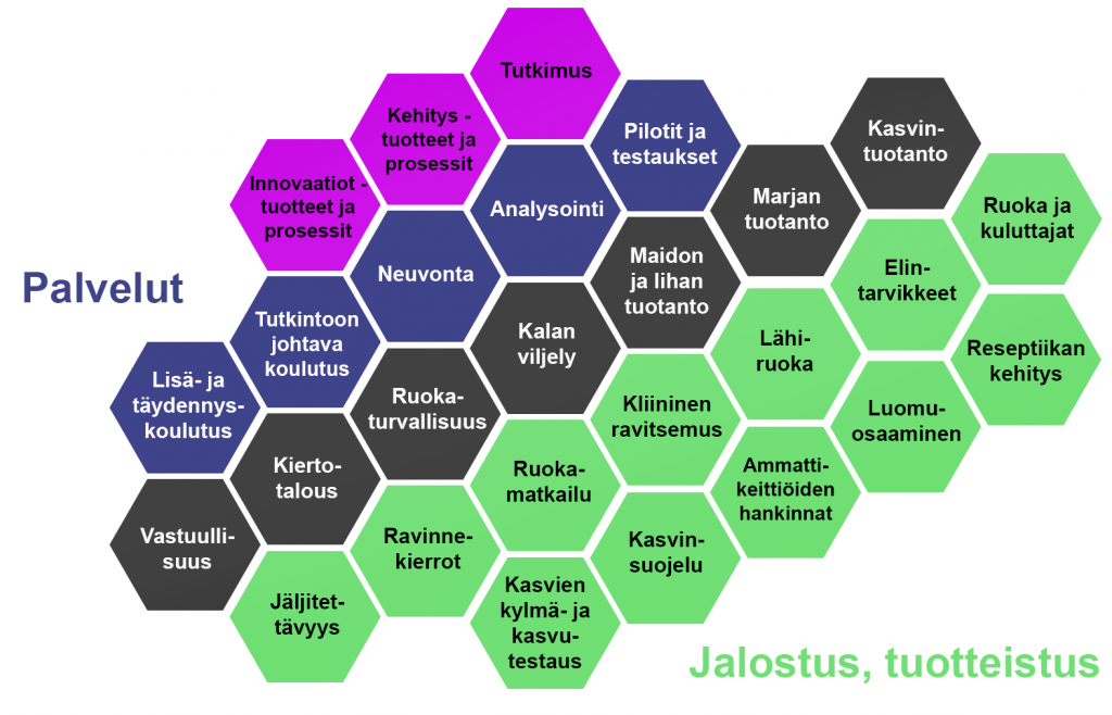 Palvelut, jalostus, tuotteistus